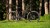 synqup_808700_O_00.jpg