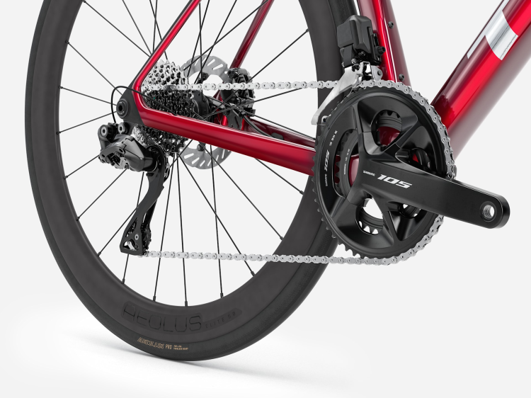 madone5.png