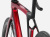 madone3.png