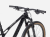 image (29).png