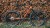 synqup_834100_O_00.jpg