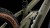 synqup_852700_D_01.jpg