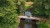 synqup_101230_M_00.jpg