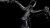 synqup_814200_D_01.jpg