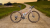image - 2025-11-26T113929.846.png