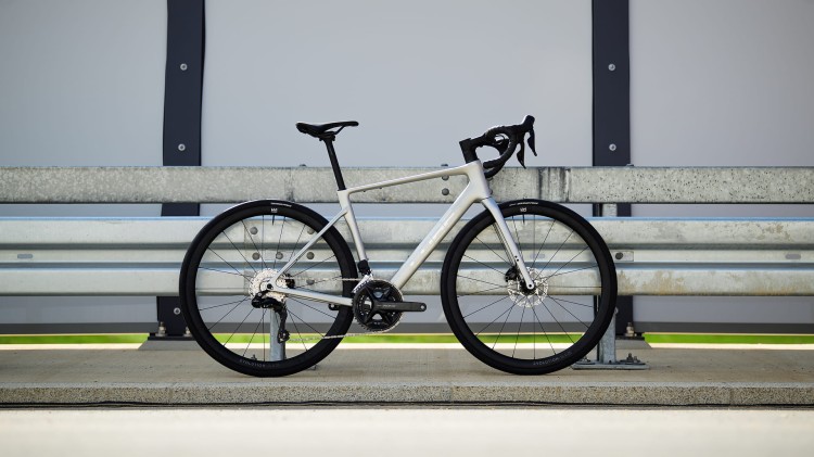 synqup_125600_O_00.jpg