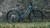 synqup_145210_O_00.jpg