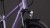 synqup_140170_D_05.jpg