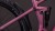 synqup_101220_D_01.jpg