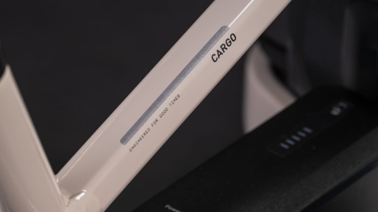 synqup_124200_D_01.jpg