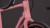 synqup_129210_D_04.jpg