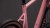 synqup_129210_D_02.jpg