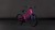 synqup_150420_P_00.jpg