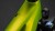 synqup_112220_D_00.jpg