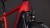 synqup_111410_D_04.jpg