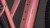 synqup_108621_D_01.jpg